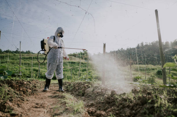 Best Pest Removal Services  in West Bend, WI