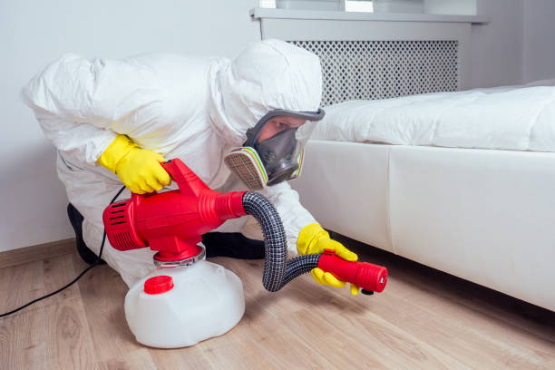 Best Affordable Pest Control Services  in West Bend, WI