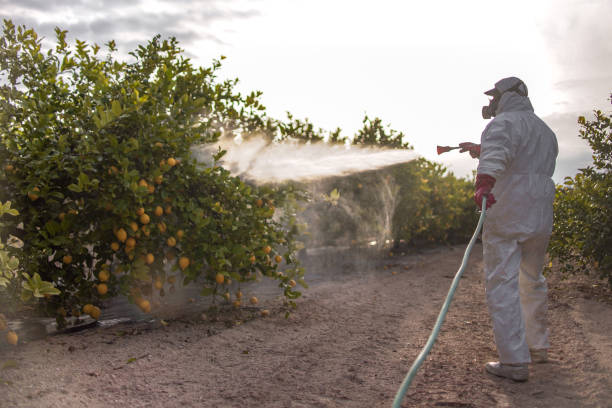 Best Emergency Pest Control  in West Bend, WI