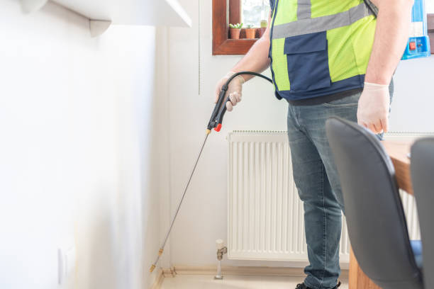 Best Pest Control Near Me in West Bend, WI