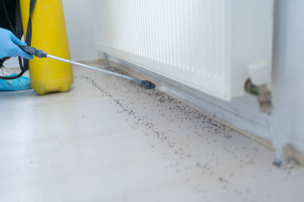 Best Wildlife Control Services  in West Bend, WI