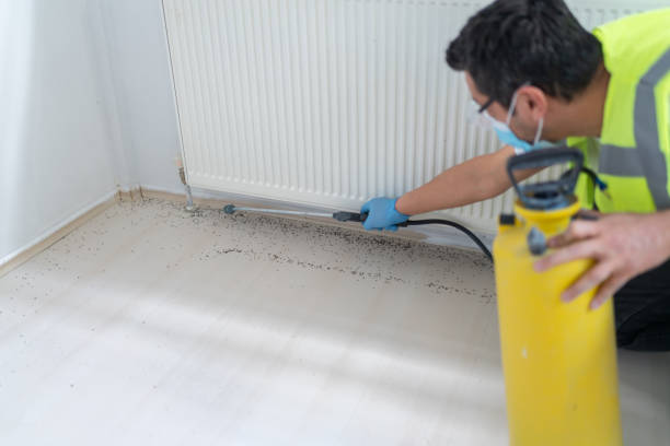 Best Pest Prevention Services  in West Bend, WI
